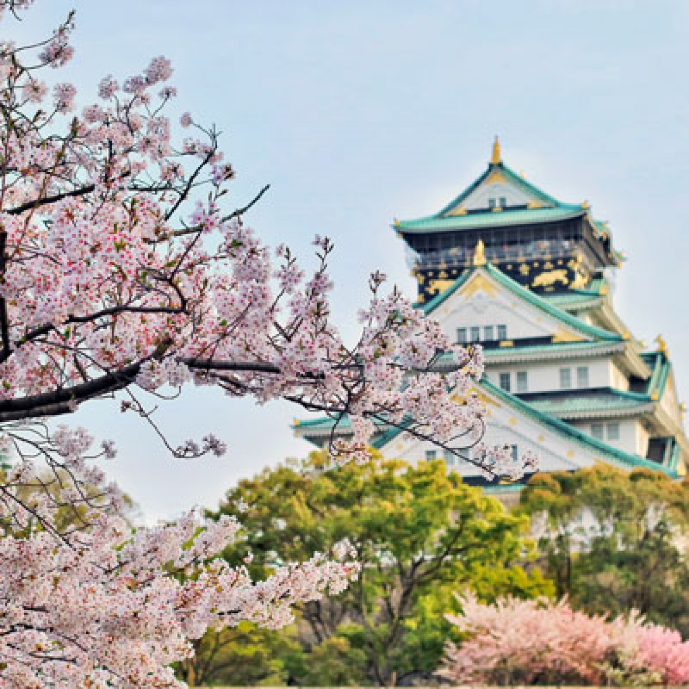 Vivre, &eacute;tudier et travailler au Japon